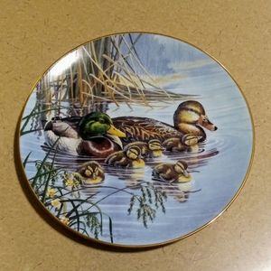 VNT '91 COLLECTIBLE Plate Duck "Family Outing"